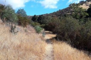 Pinnacles things to do in San Benito parks South wild