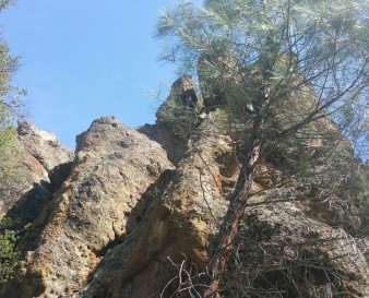 hiking san benito county pinnacles