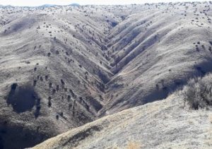 Dendritic(tree-like) drainage patterns,REACH San Benito Parks to visit Panoche Hills