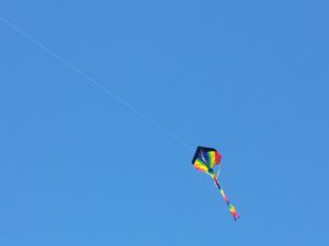 fly a kite in san benito county