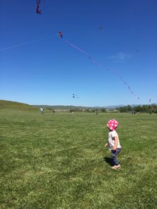 fly a kit in san benito county
